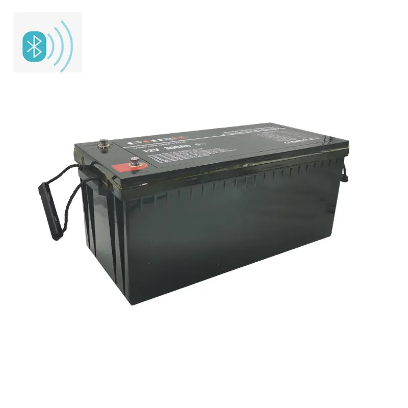 High quality with bms lifepo4 battery BT 12v 300ah hour for camping car motorhome