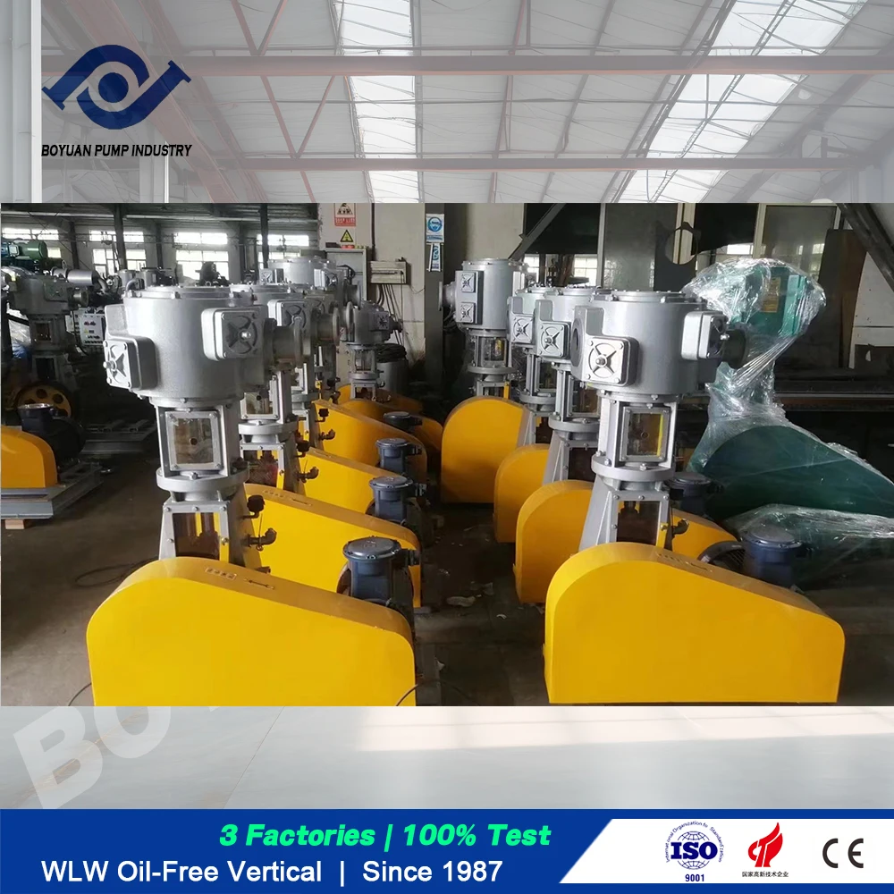 BOYUAN Manufacturer WLW Series WLW-50 High Pressure Oil Free Vertical Reciprocating Piston Vacuum Pump Electric Pumping