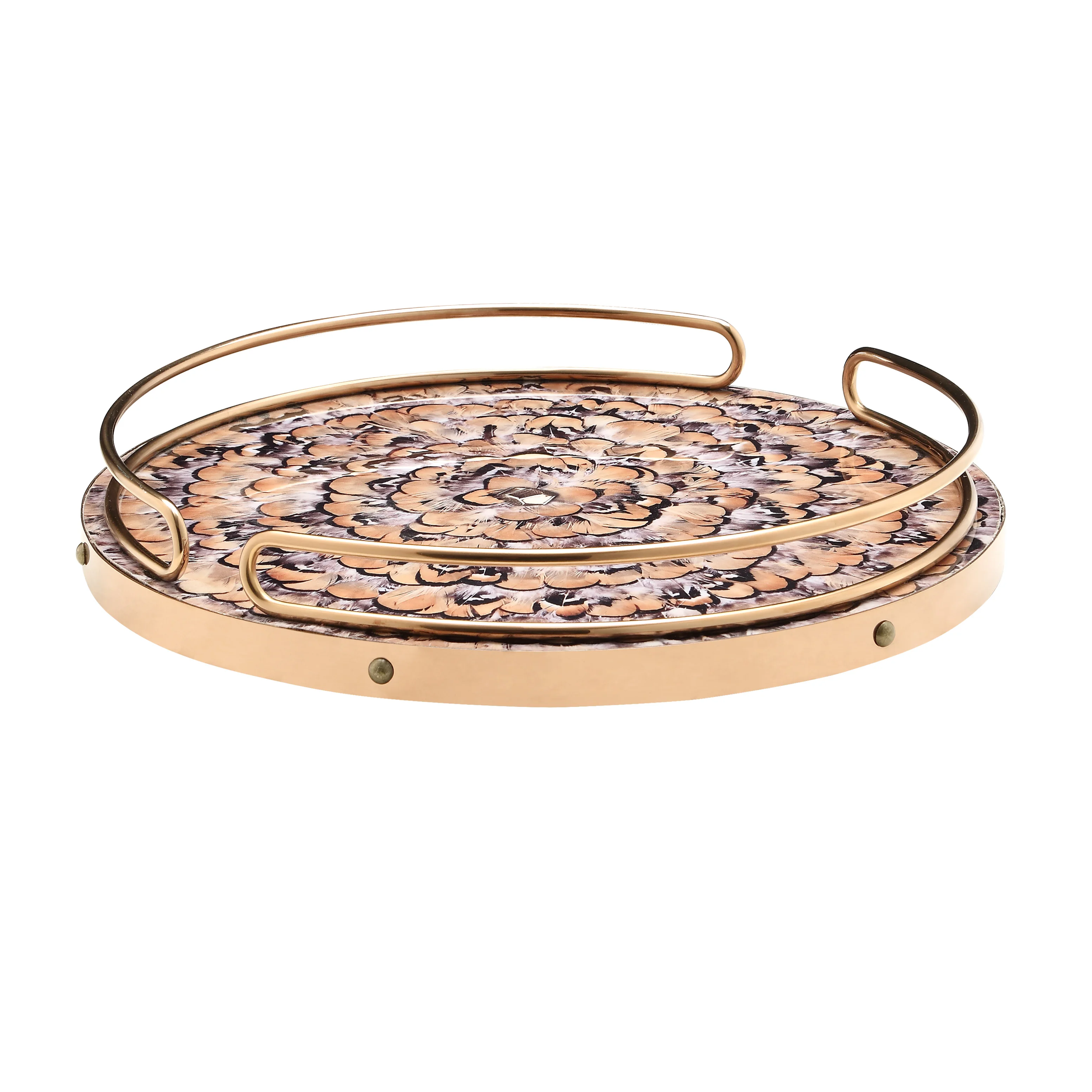 American creative brass painted storage tray simple modern European style living room coffee table model room decoration tray