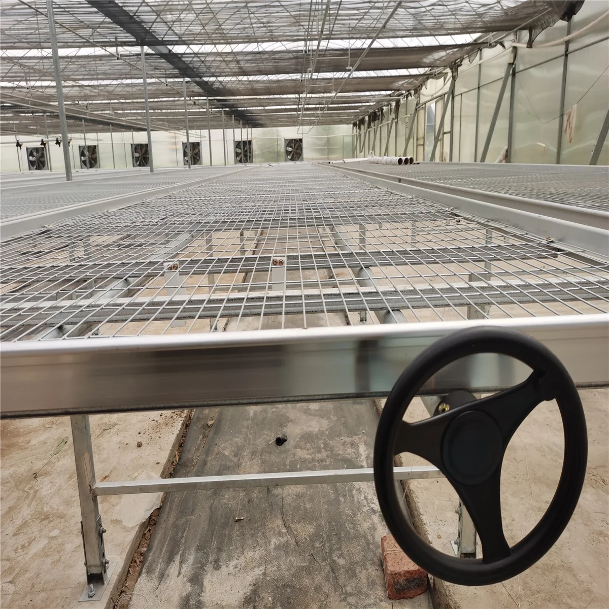 Metal structural frame hemp grow Greenhouse with hydroponics rolling bench table greenhouse mesh rolling bench