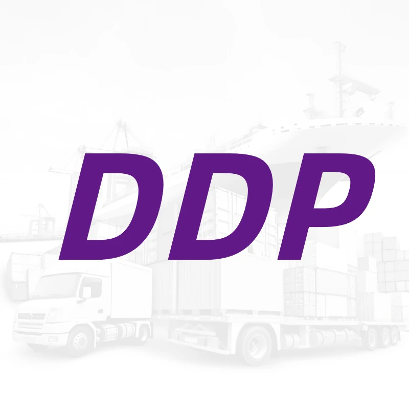 DDP DDU International Logistics Company Door to Door to Canada CA by FCL Sea Fright Forwarder Transport Agent