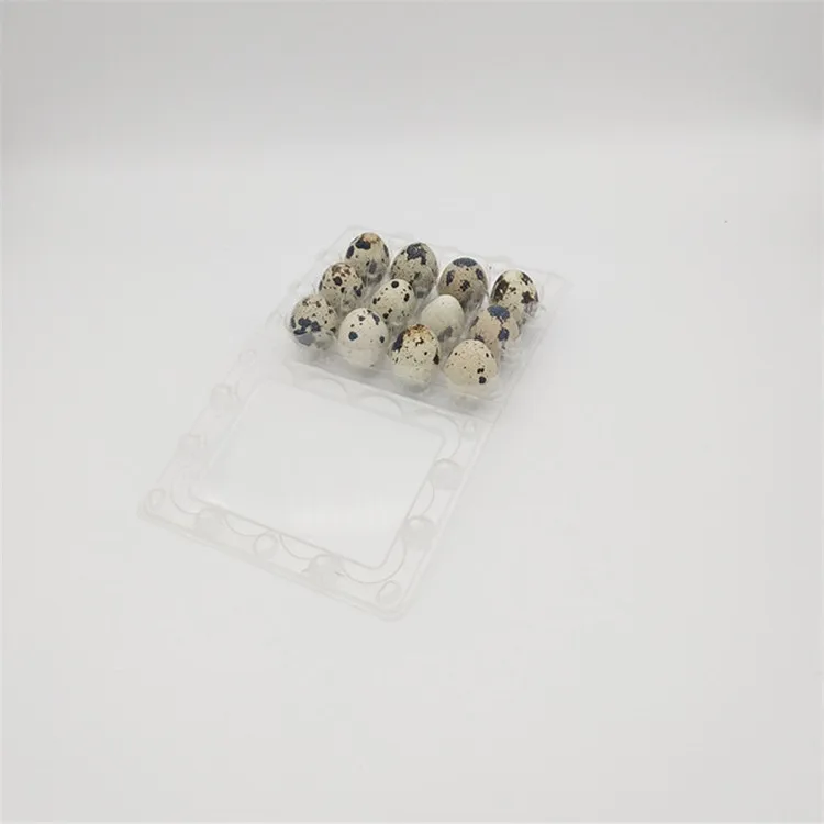Одноразовый пластиковый лоток для упаковки Перепелиных яиц, 12 полостей