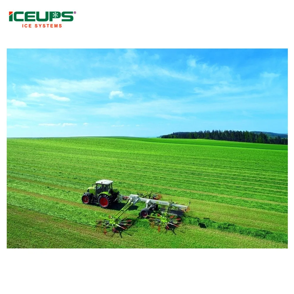 
Vegetables Vacuum Cooling Machine for Leafy Vegetables 