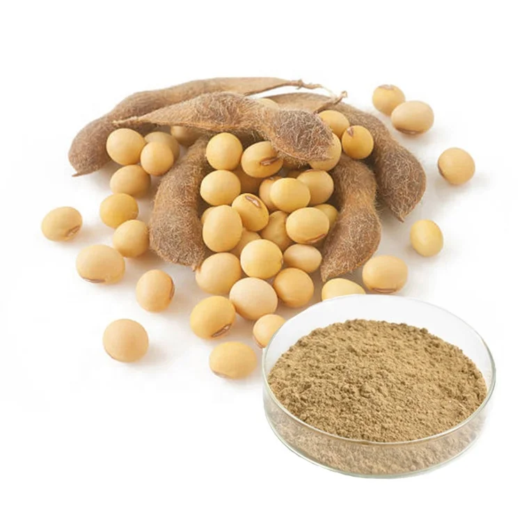 soy isoflavone professional producer pure soybean extract