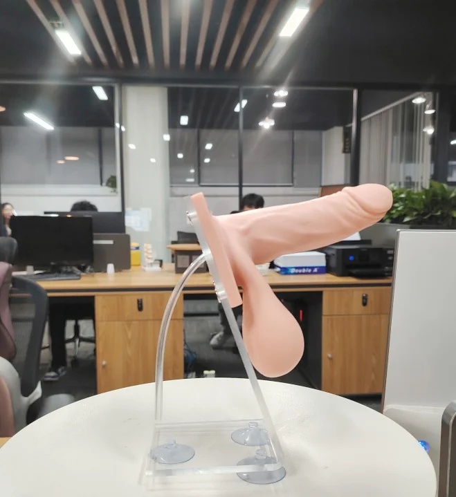 DARHMMY PVC Medical Science Practice Model Maternal and Child Health Male Condom for Training in Schools Hospitals