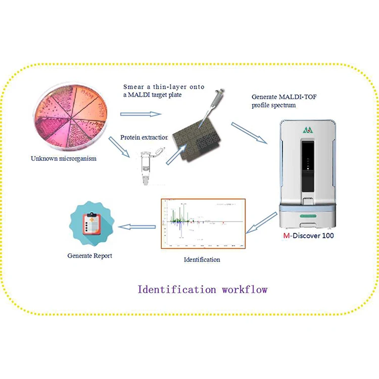 China Laboratory Equipment Automatic High Reliability Mass Spectrometer System