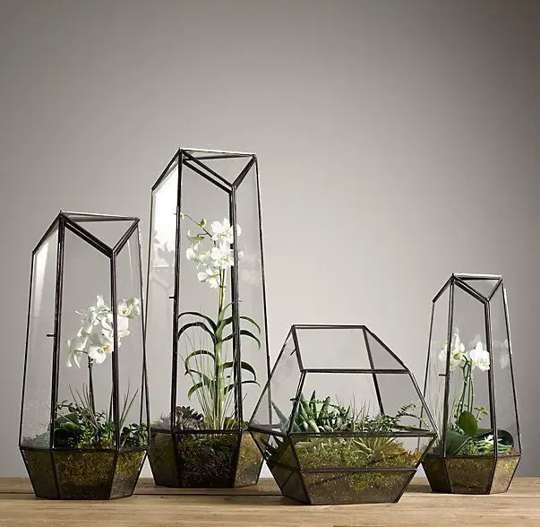 Геометрическая стеклянная террариумная ваза для орхидеи
