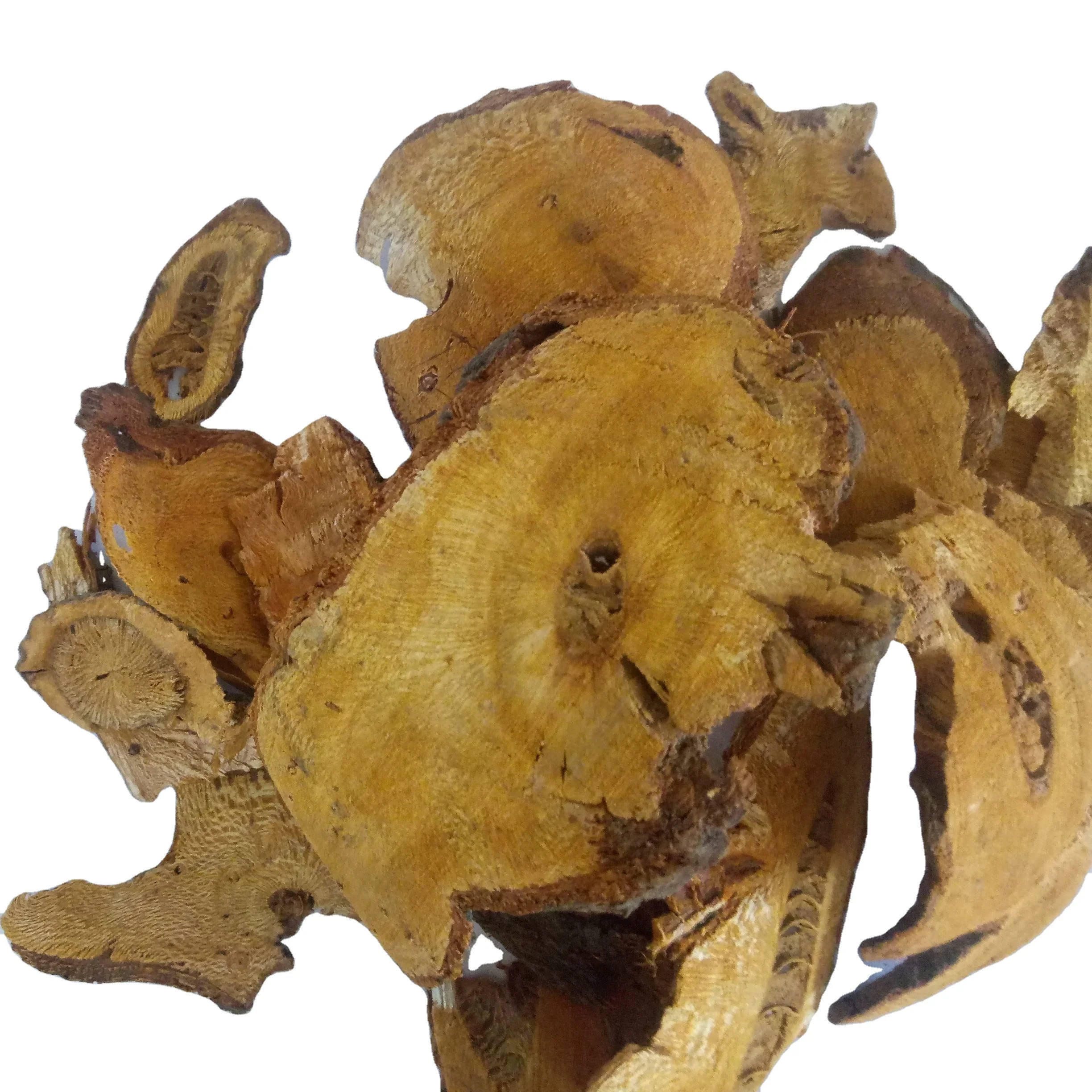 Hu zhang Wild new dried radix Polygonum cuspidatum root cuts for herb