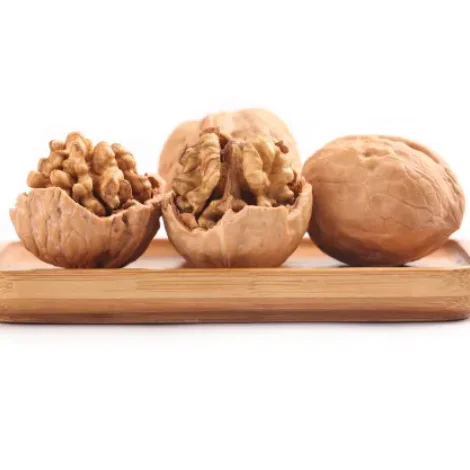 Wholesale Rich in Nutrition Walnut and Price Cheap Walnut in Shell from Xinjiang