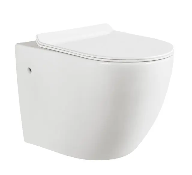 Luxury Bathroom Space Saving Hanging Bowl Toilet Wc Back To Wall Rimless Toilets