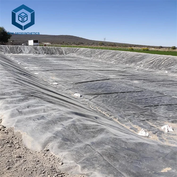Ground Cover Polyethylene HDPE Geomembrane Sheet for Mining Projects in Chile