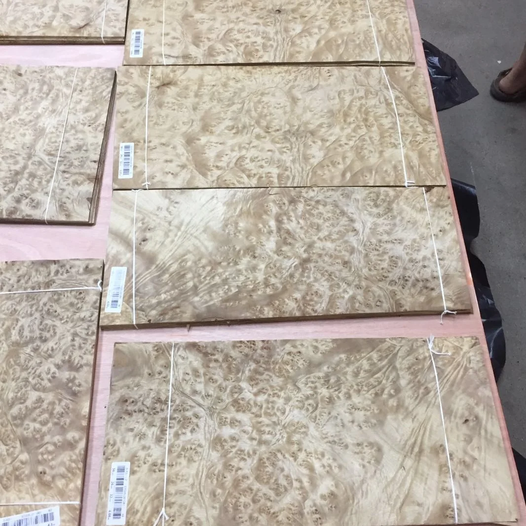 Golden Camphor Burl Veneer for Furniture