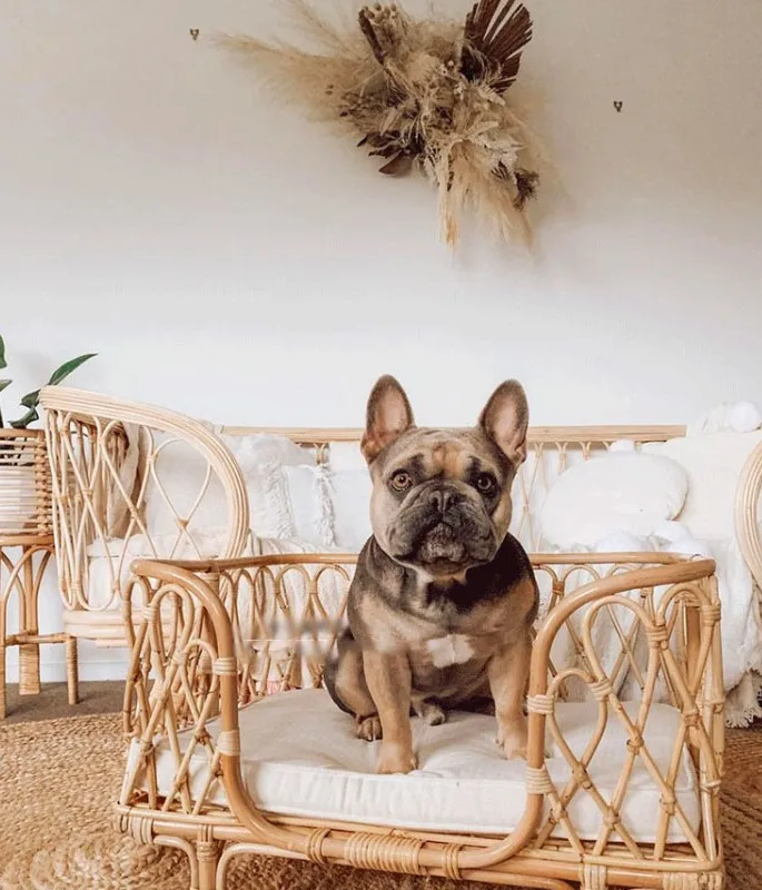 Роскошный диван-кровать для кошек из натурального дерева и ротанга в стиле INS