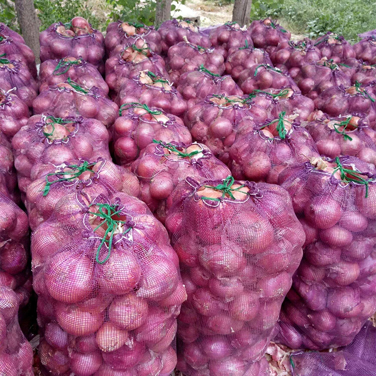 Chinese supplier Good Quality red onion Fresh Onions spices