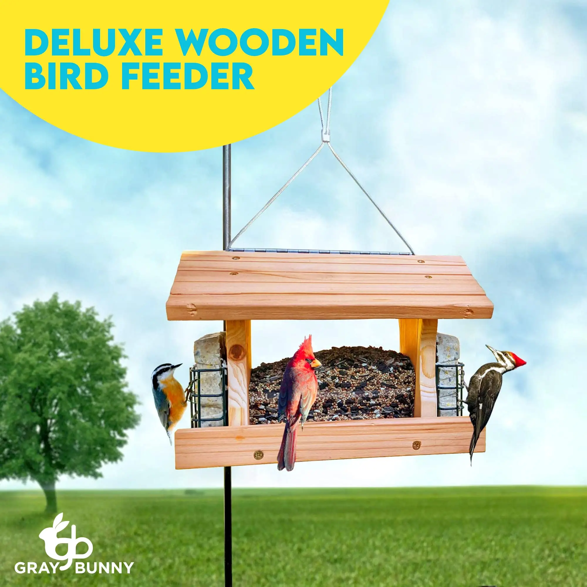 Large Wooden Bird House Bird Feeder Hopper Bird Feeders for Outdoors Hanging with 2 Suet Cages Window and Heavy Duty