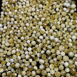 Factory outlet natural natural Every one of them contains worms Collection level insect amber