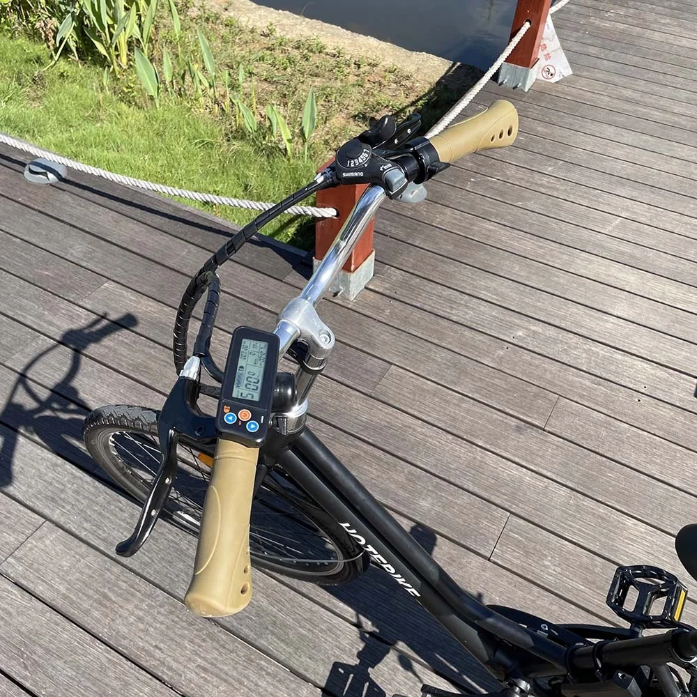 popular 24 volt ebike 1 speed e bicycle electric bike e bike