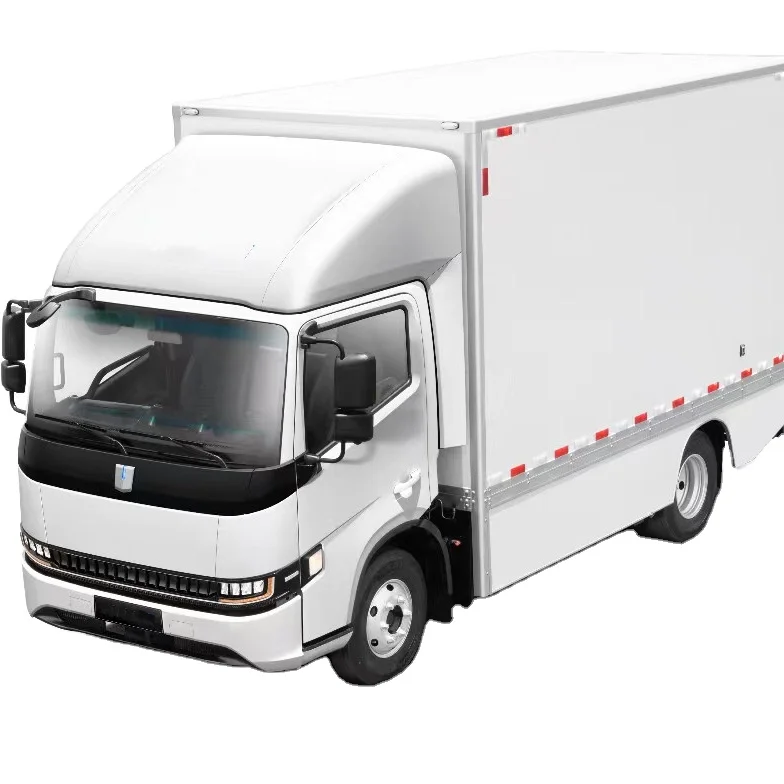 Small  Electric Cargo Van Truck  8T Van Lorry EV With EEC