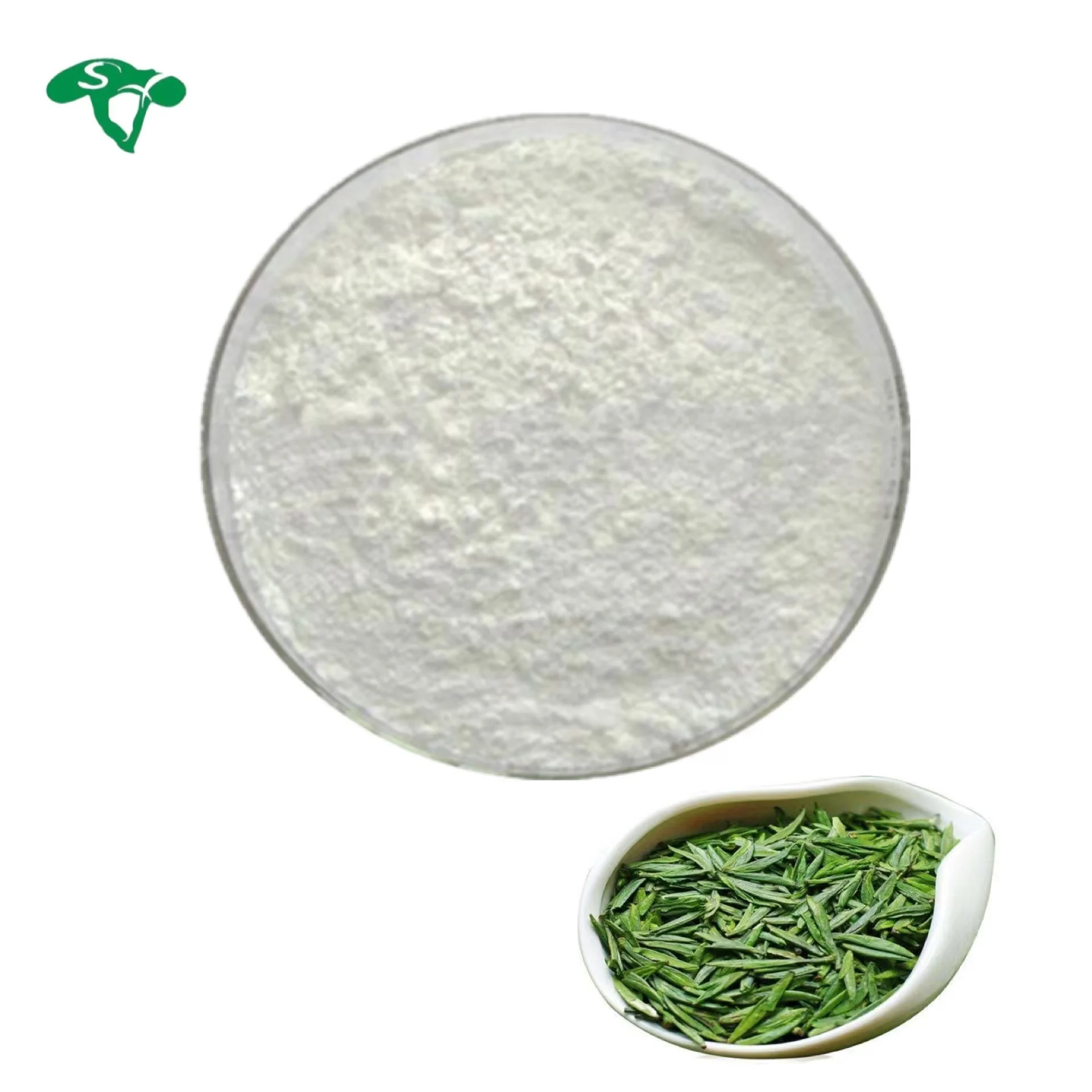 Wholesale Bulk Factory Natural Green Tea Extract L-theanine Powder 98% 99% L Theanine