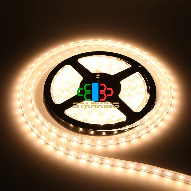High brighten led strip light RGB 12V 30LEDs SMD Flexible IP65 LED Tape Light