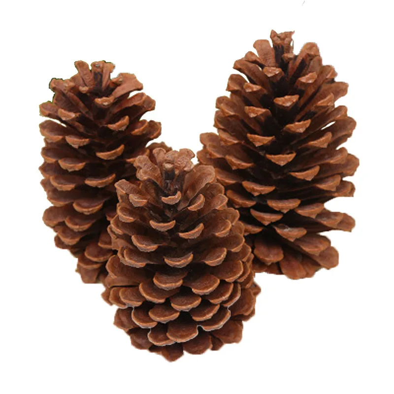 Christmas Pinecone Window Display Decoration Home Decoration 15cm American Pinecone Pine Tower
