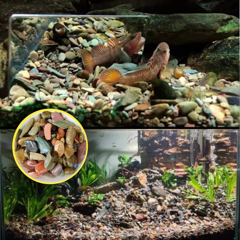 Factory price color pebble stone natural gravel paving stones wash river granite paving crushed stone for sale