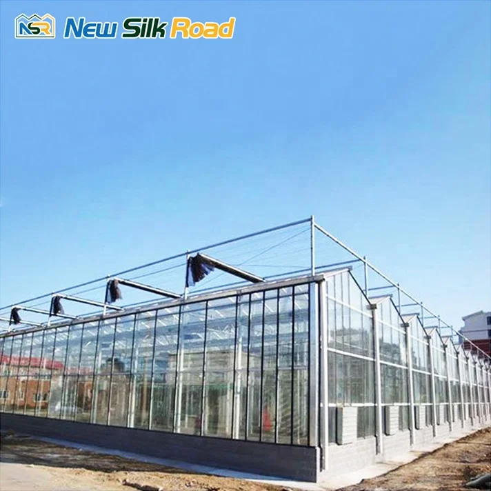 NSR Greenhouse Economical Multi-span Agricultural Glass Tomato Greenhouse Hydroponic metal and glass greenhouse For Sale