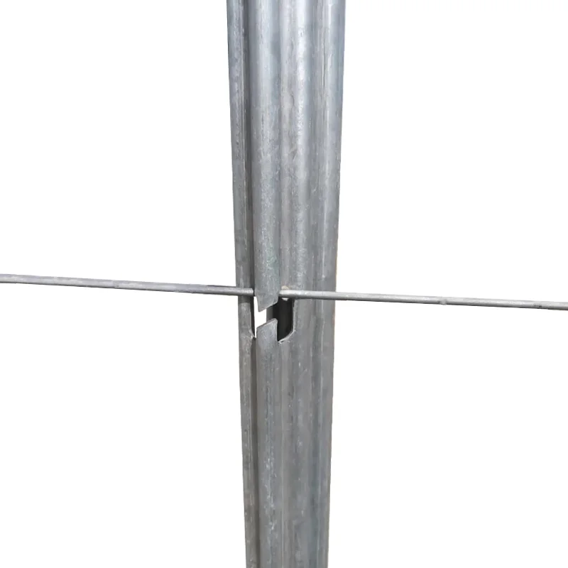Steel Galvanized Trellis Vineyard Post Grape Stakes with Accessories