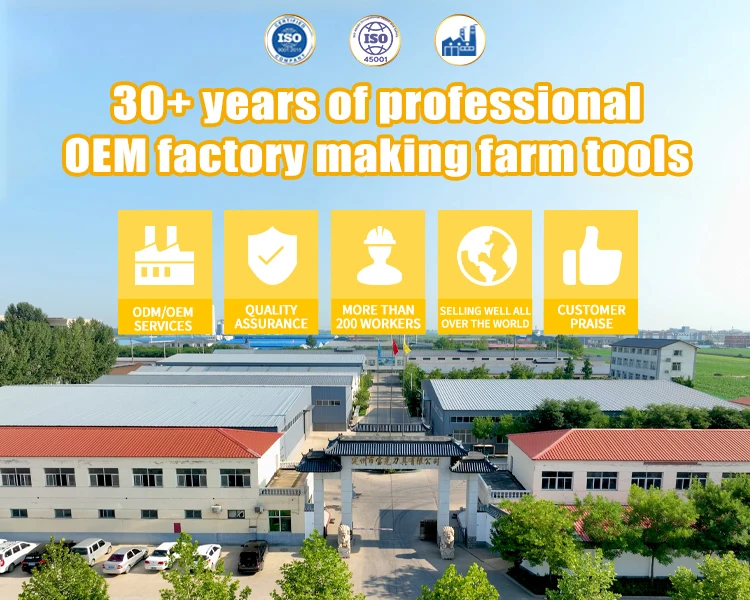 Agriculture Farming Tool High Carbon Steel Rake Head Steel Rake with Wooden Adjustable Handle