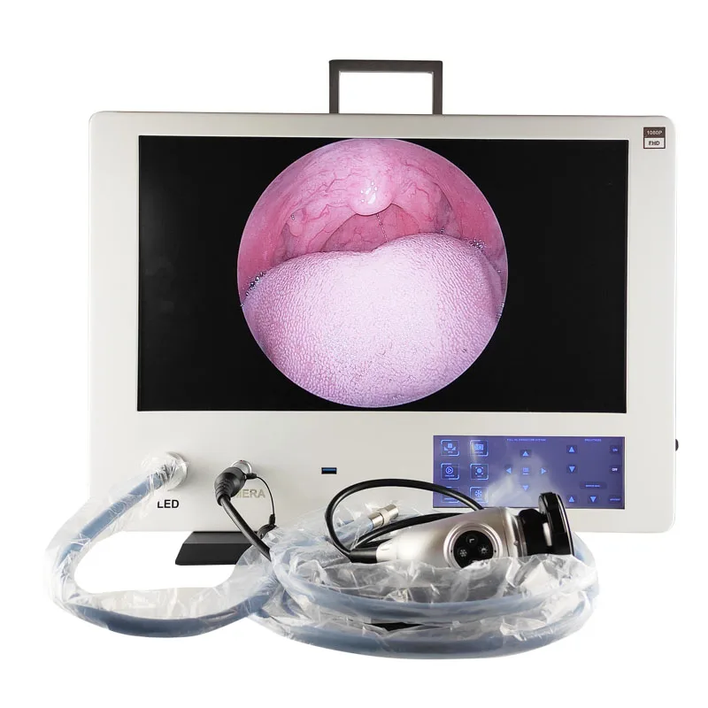 telepack standing style Integrated Full HD Endoscope Camera Orthopedic Endoscopy Rigid Endoscope anatomy