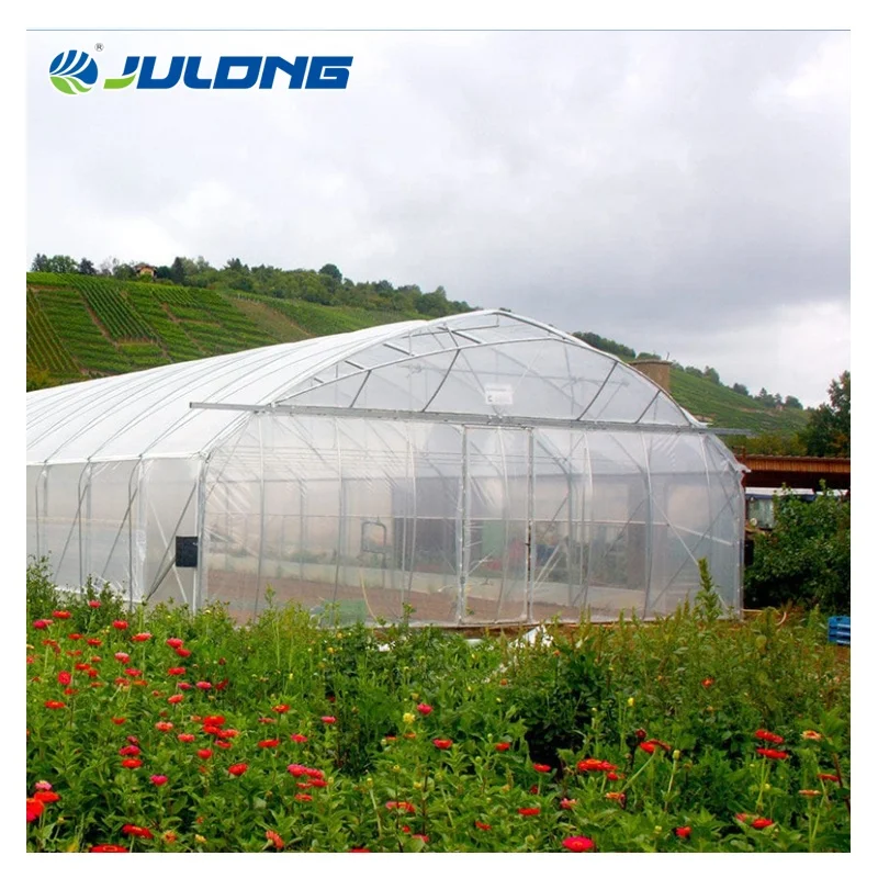 
Cheap agricultural tent singlespan Polytunnel green house poly film tunnel single-span greenhouses for sale 