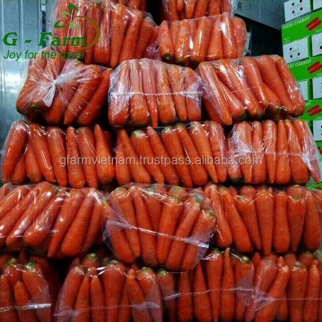
Season 2020 From Vietnam organic fresh carrot size S M L 2L 3L carton box 5kg 10kg length size 16-24cm 