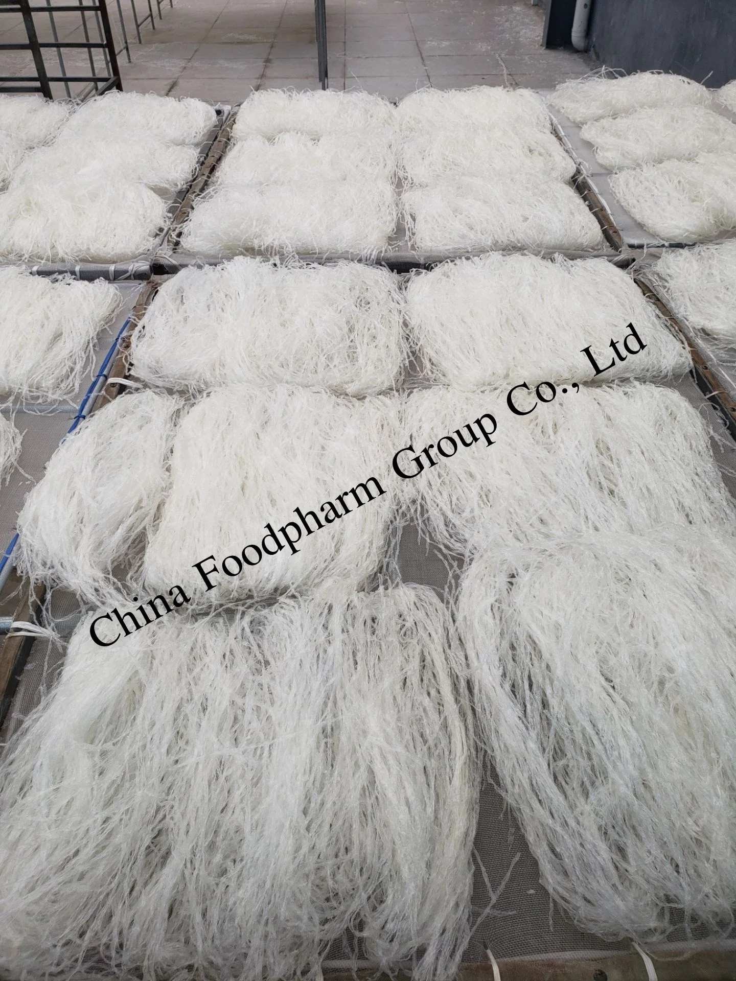 
China Factory supply Edible Agar Strips Made From Gracilaria 