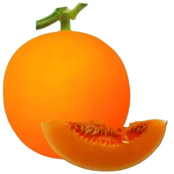  Семена милой дыни Orange Flesh Hybrid F1 из