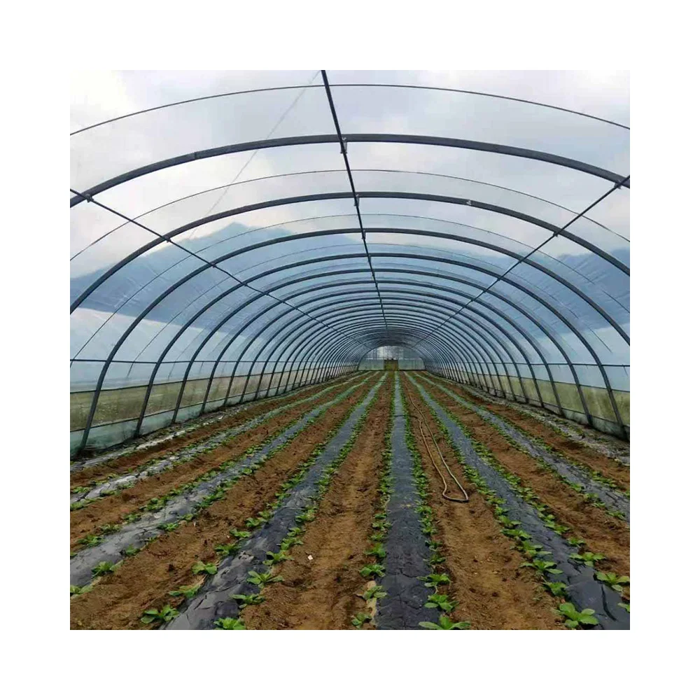 
Factory Outlet Large Operation And Practicality Can Be Customized Plastic Shed Aeroponic Hoop Green Houses 