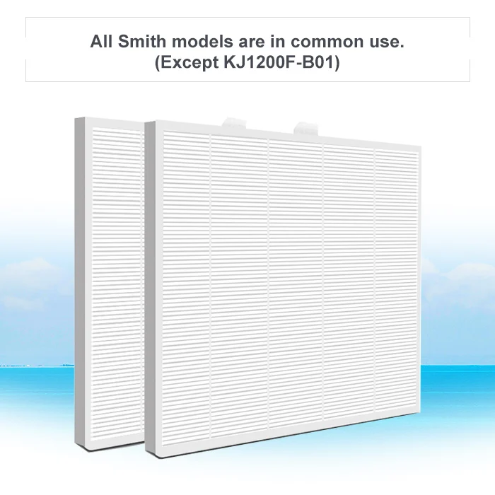 Очиститель воздуха фильтр Горячая продажа для всех Smith