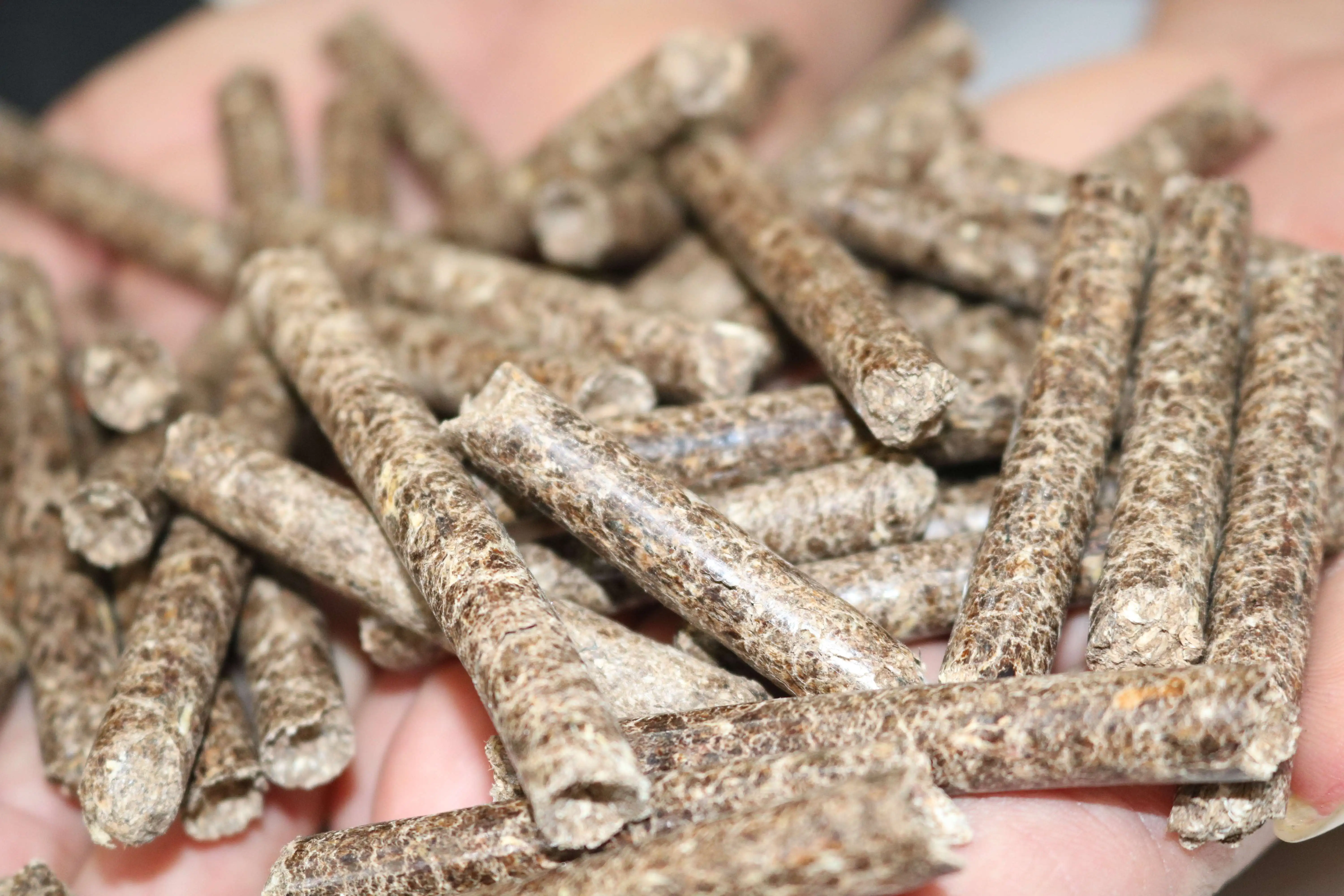 Pine & Fir Wood Pellets Approved Good Quality Wood Pellets Hot Selling Energy Saving  Vietnam Manufacturer