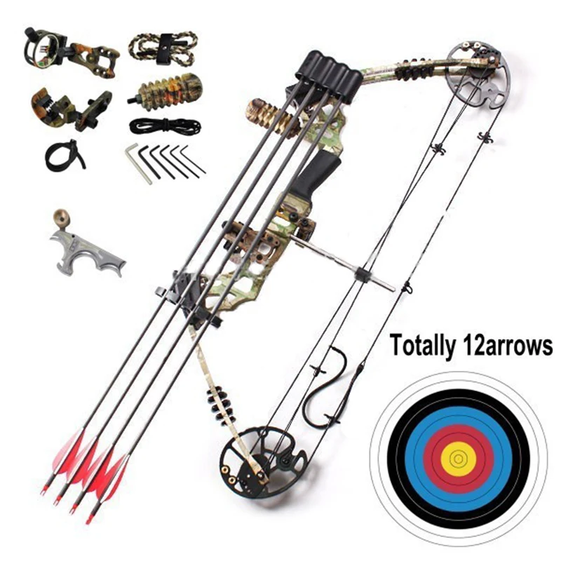 China Archery Compound Bow And Arrows For Sale
