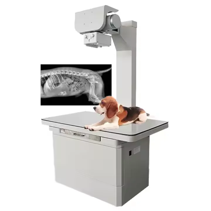 Vet DR Dynamic Digital X-ray Imaging System for Pets Essential for Accurate Diagnosis