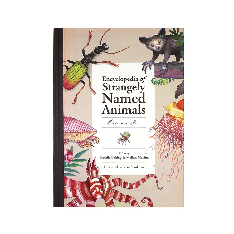 monthly sports magazine printing Best quality custom design children books printing Duplex paper board digital printing service