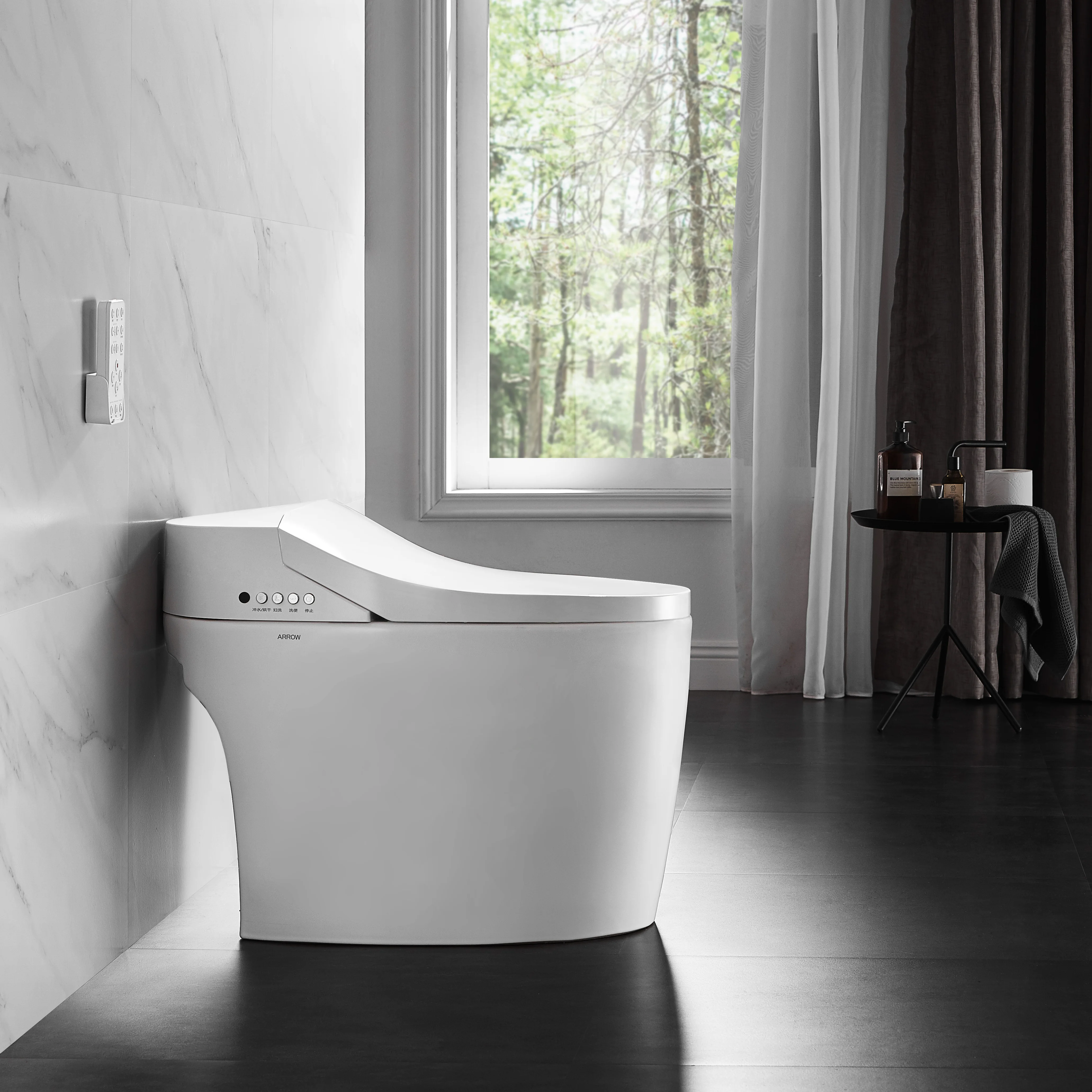 ARROW Brand Wash Power Saving Bidet Wc Intelligent Smart Toilet In White