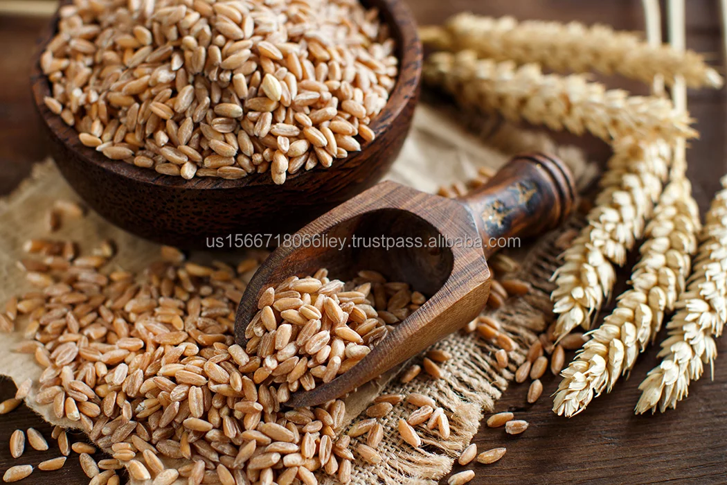 Wholesale Superfine Wheat Bran 100% Quality Dry Bran for Animal Feed for Fish Pig and Cattle