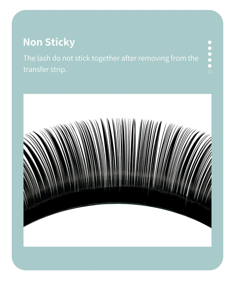 H classic lashes