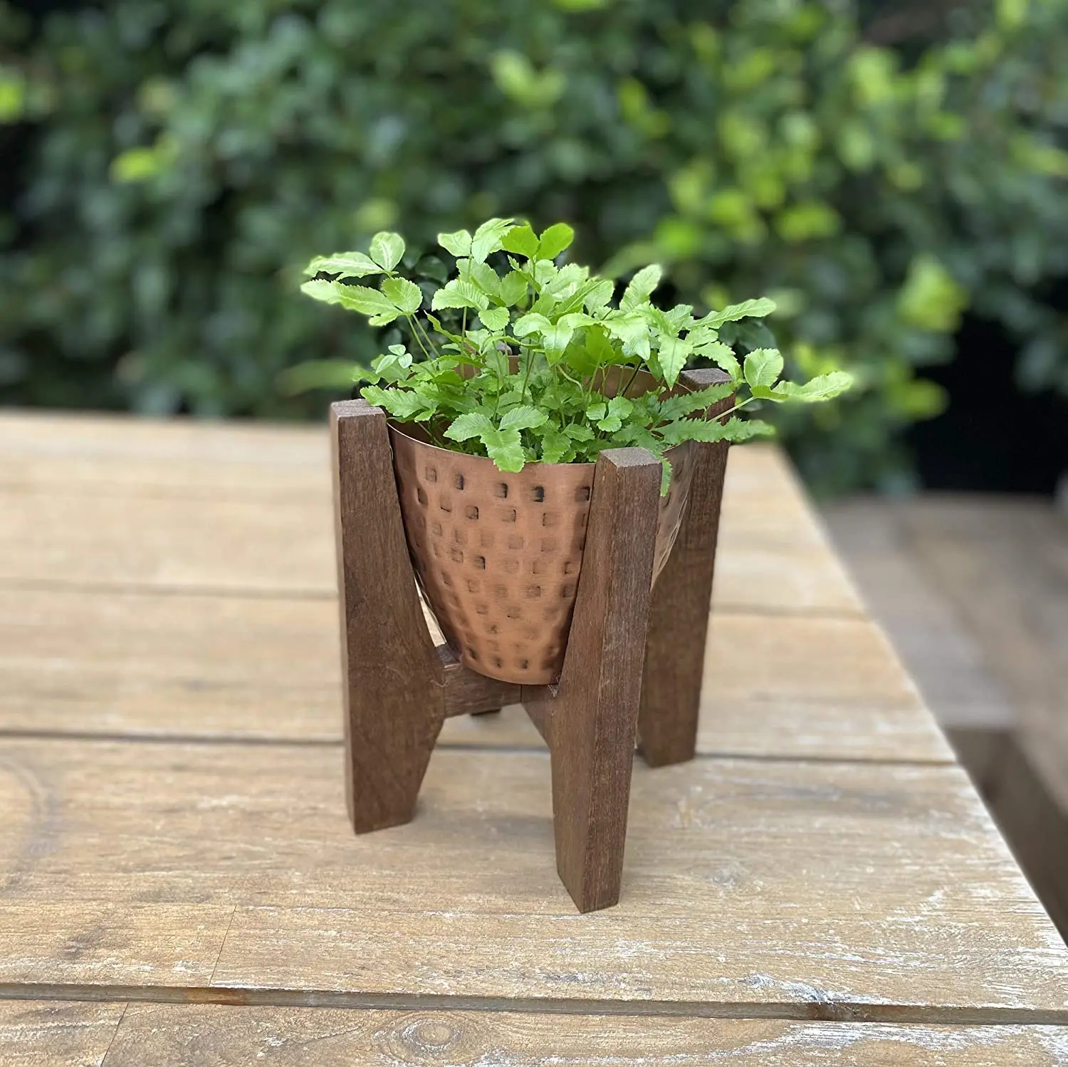 
Adjustable Modern Design Decorative Wood Small Standing Pots Plants Indoor Suitable For Succulents 