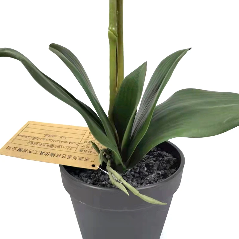 Artificial Real Touch Orchids Flowers Latex Phalaenopsis Stems For Wedding Centerpieces Living Room Home Decoration