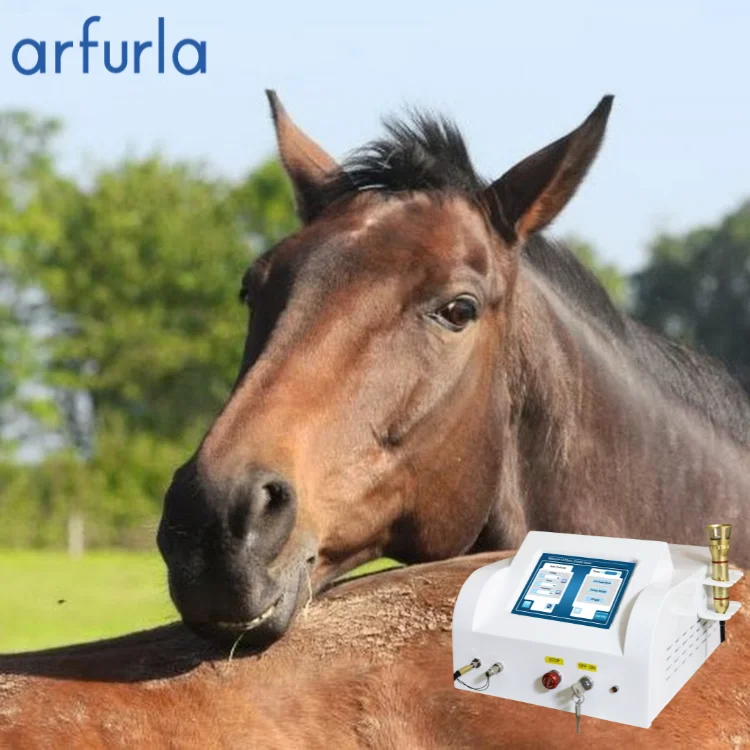 Лазер Arfurla для лечения боли высокомощный лазер ветеринарной терапии класса 4