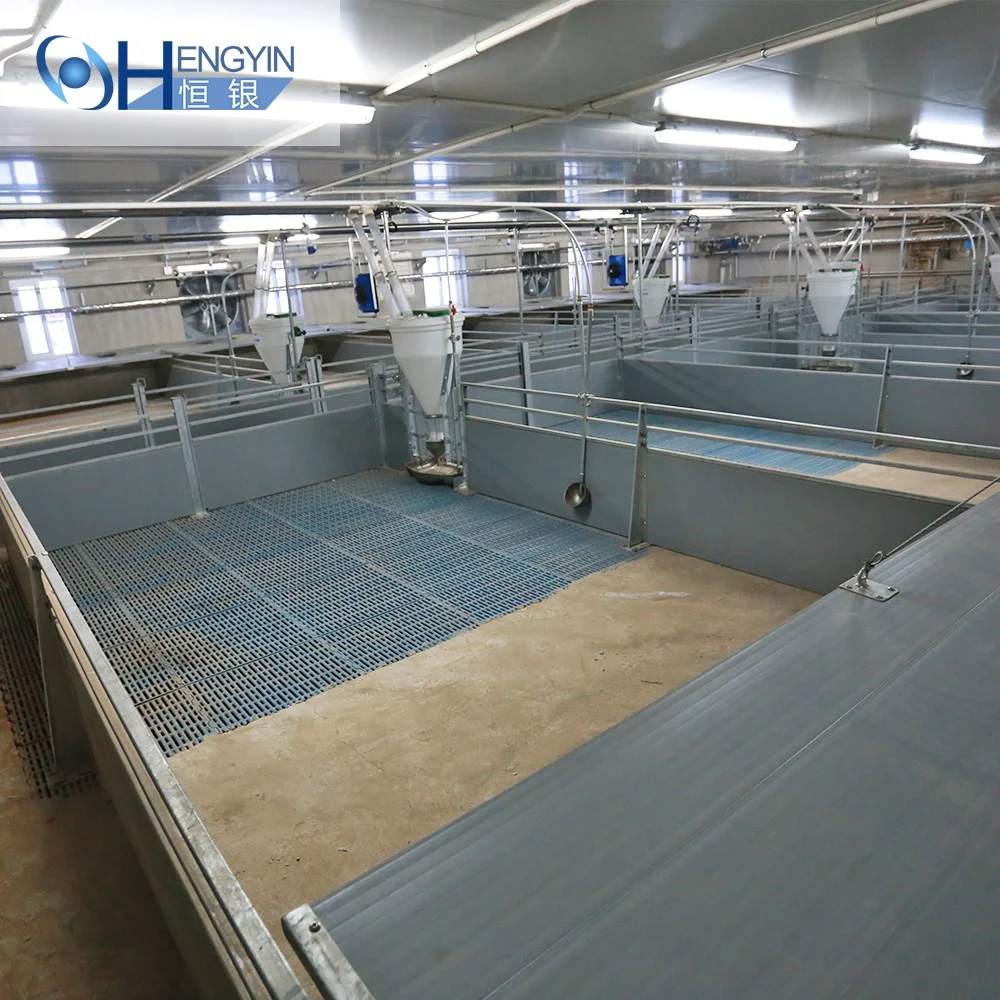 100 L animal husbandry Grower Feeding Pan System Livestock automatic  pigs feeders for sale farming equipment