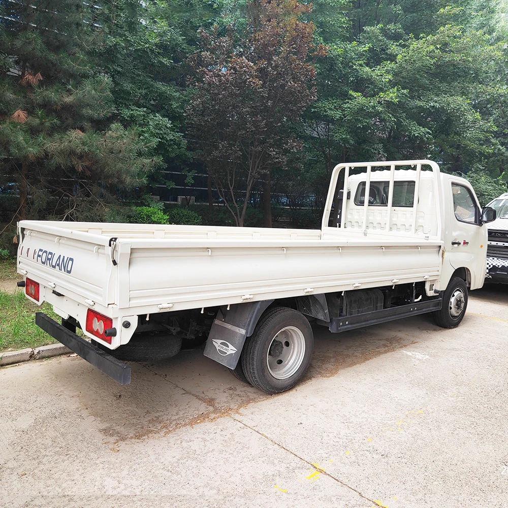 Top Market Foton Brand Light Duty 4x2 Fence Cargo Truck For Sale