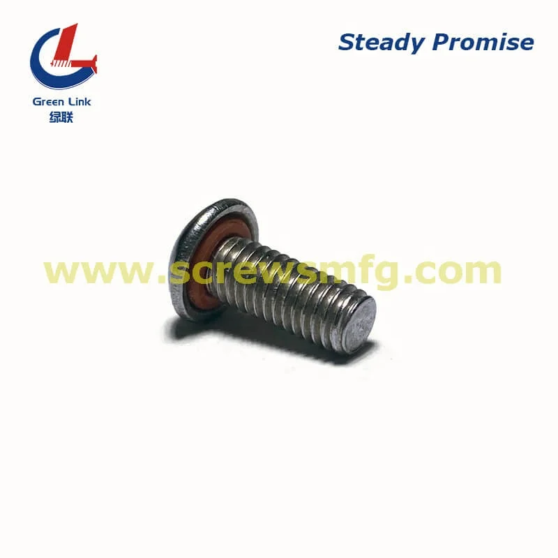 Stainless Steel Sealing Screw With Rubber Ring Ss304 Ss316 Button Head Sealing Screw
