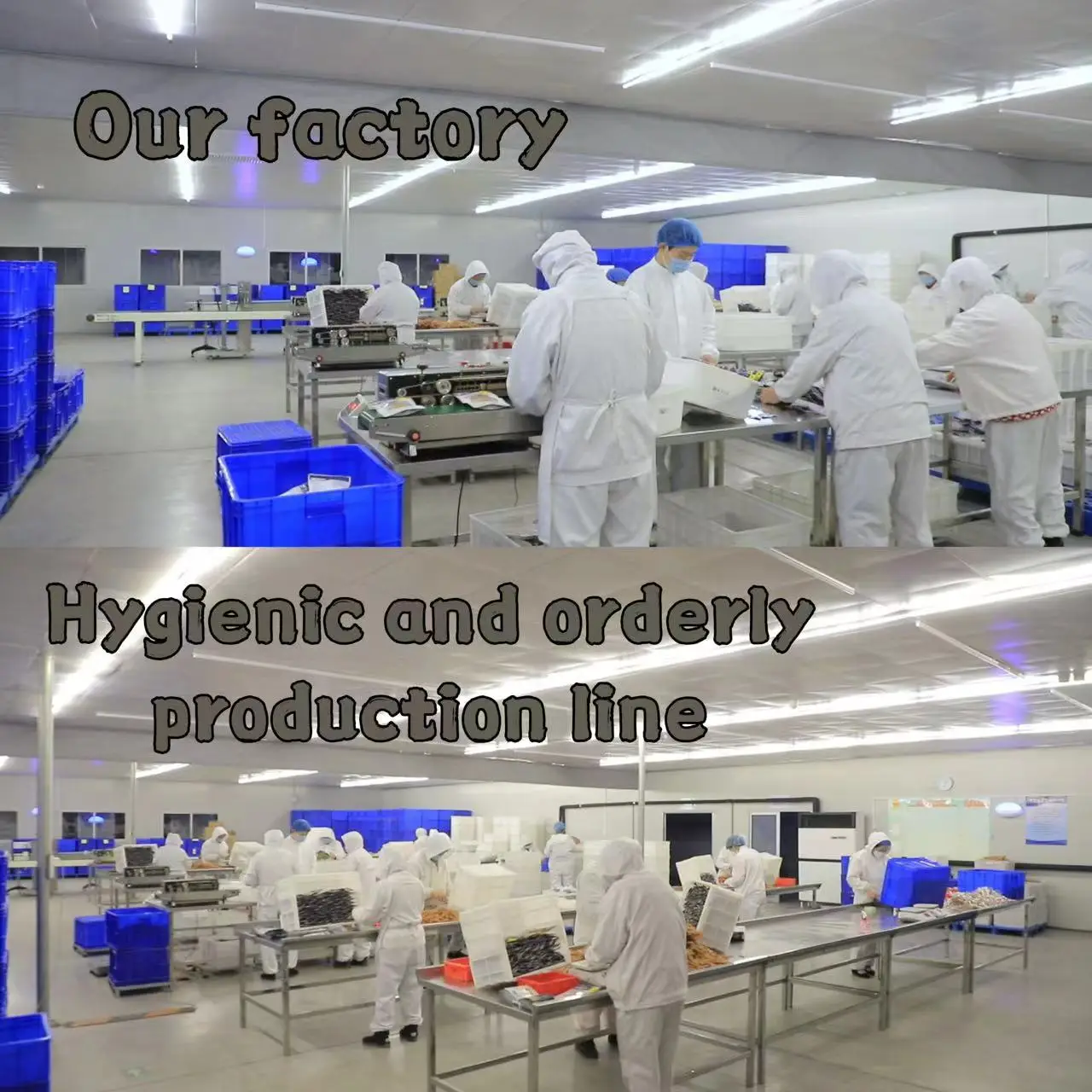 Лакомства для домашних животных лакомства собак оптовая продажа высококачественных закусок сушеная ГОВЯЖЬЯ колбаса кошек и без добавок